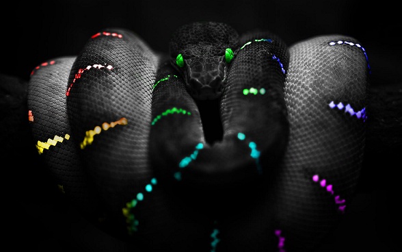NeonSnake.jpg
